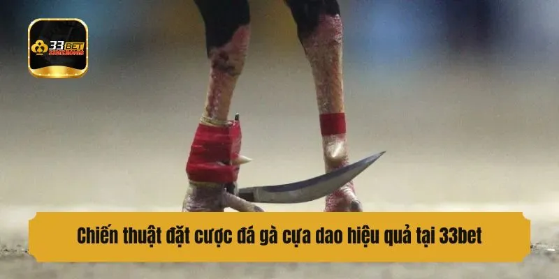 Chiến thuật đặt cược đấu gà hiệu quả tại 33bet