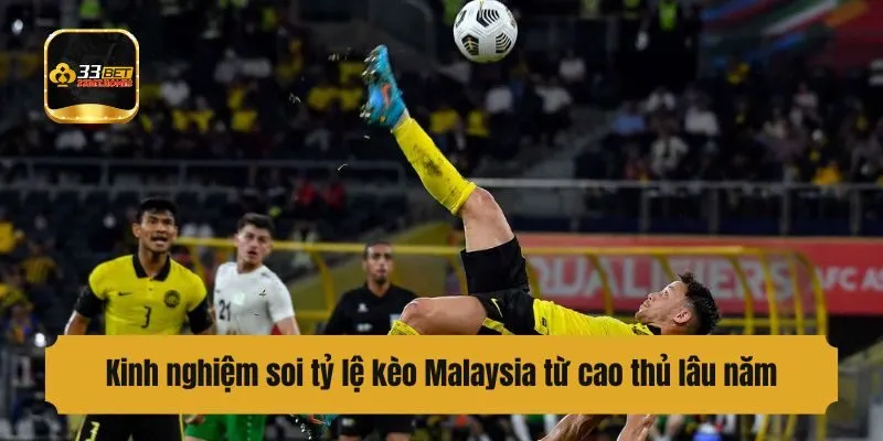 Kinh nghiệm soi kèo Malaysia từ cao thủ lâu năm