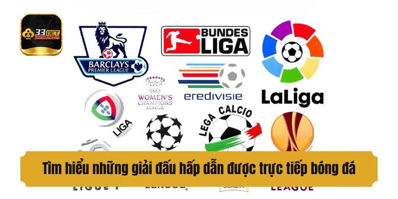 Tìm hiểu những giải đấu hấp dẫn được trực tiếp