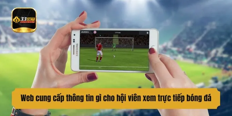 Web cung cấp thông tin gì cho hội viên xem bóng đá